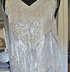 Silver and Champagne Seuin Fringe Dress